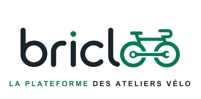 Bricloo
